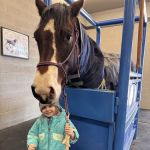 Stone Ridge Equine Care