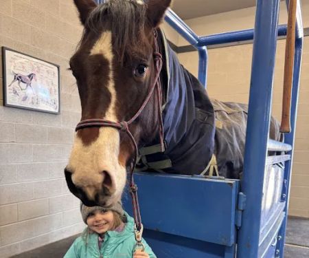 Stone Ridge Equine Care