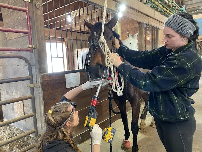 Stone Ridge Equine Care Picture 10