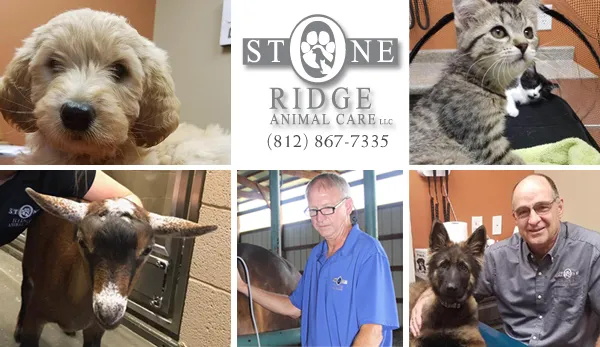 Stone Ridge Animal Care Picture 1