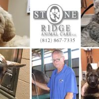 Stone Ridge Animal Care ico
