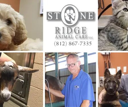 Stone Ridge Animal Care
