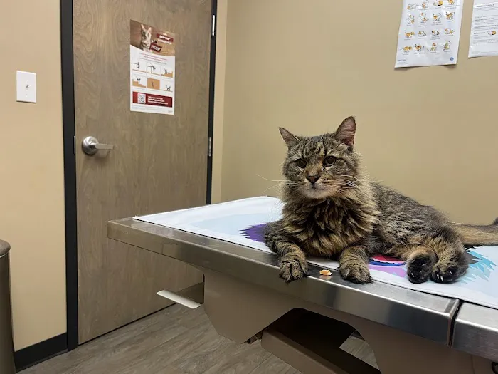 Stone Ridge Animal Care Picture 6