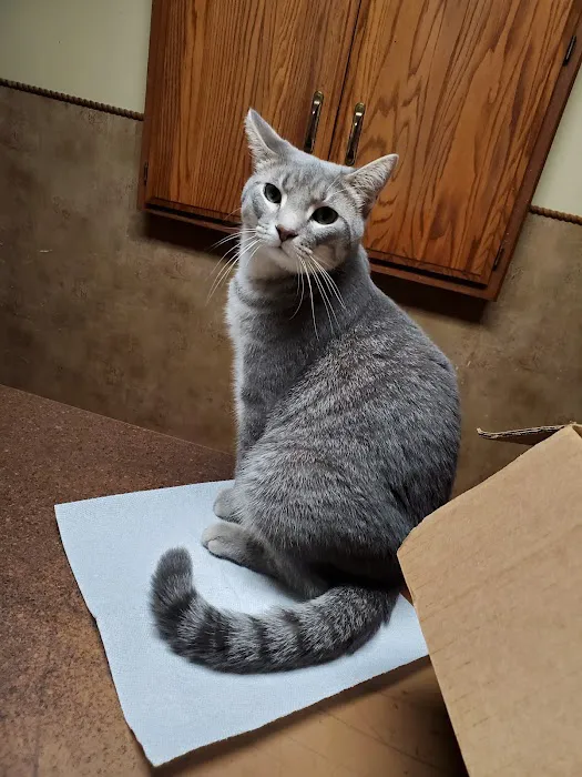 Hilltop Veterinary Services Office Picture 1
