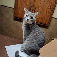 Hilltop Veterinary Services Office ico