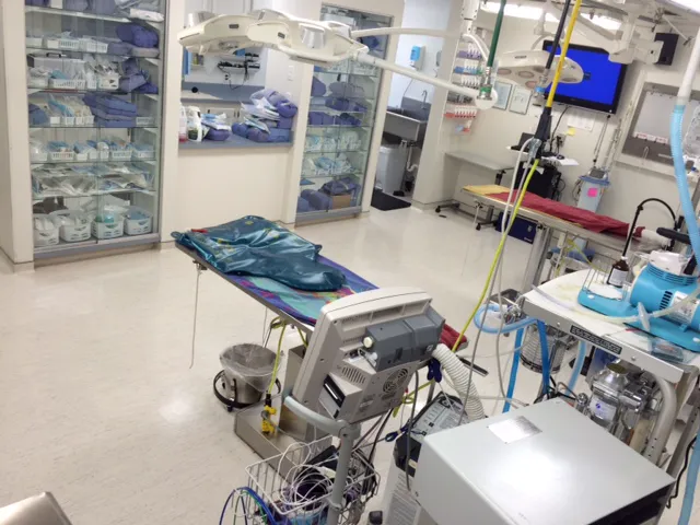 East Pines Animal Clinic Picture 5
