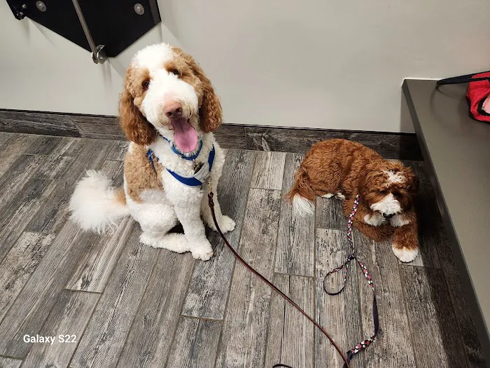 East Pines Animal Clinic Picture 10