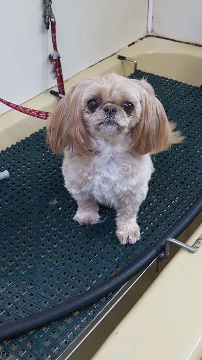 Greenwood Animal Hospital Picture 3