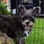 Warrick Veterinary Clinic - Boonville