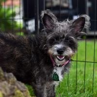 Warrick Veterinary Clinic - Boonville ico