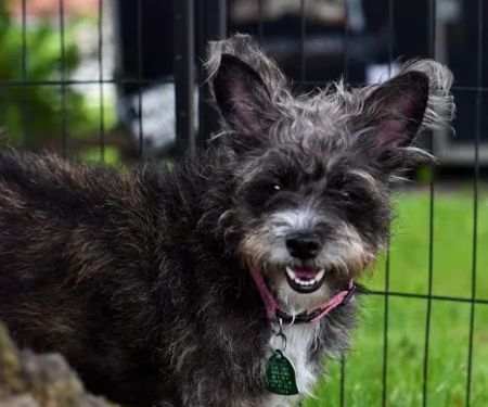 Warrick Veterinary Clinic - Boonville