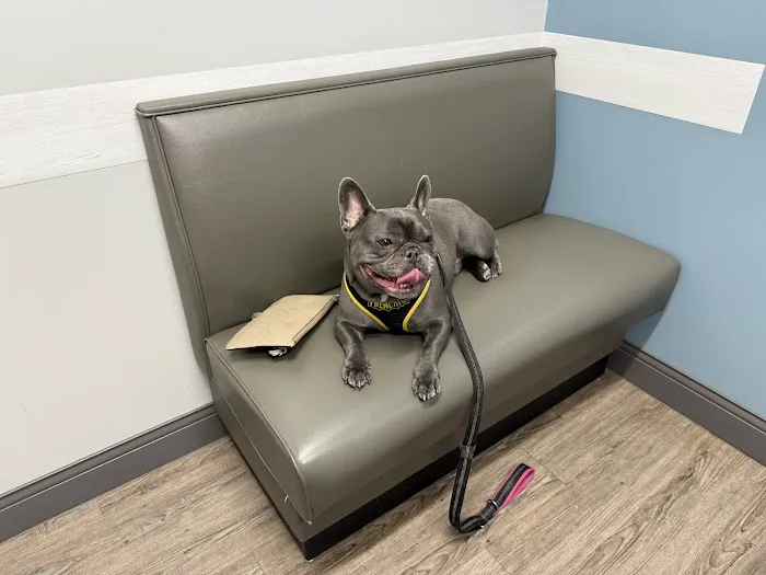 Warrick Veterinary Clinic - Boonville Picture 3