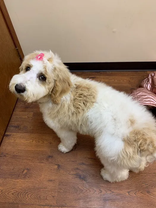 Henry County Animal Clinic Picture 6