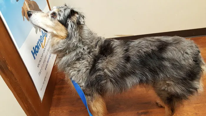 Henry County Animal Clinic Picture 8