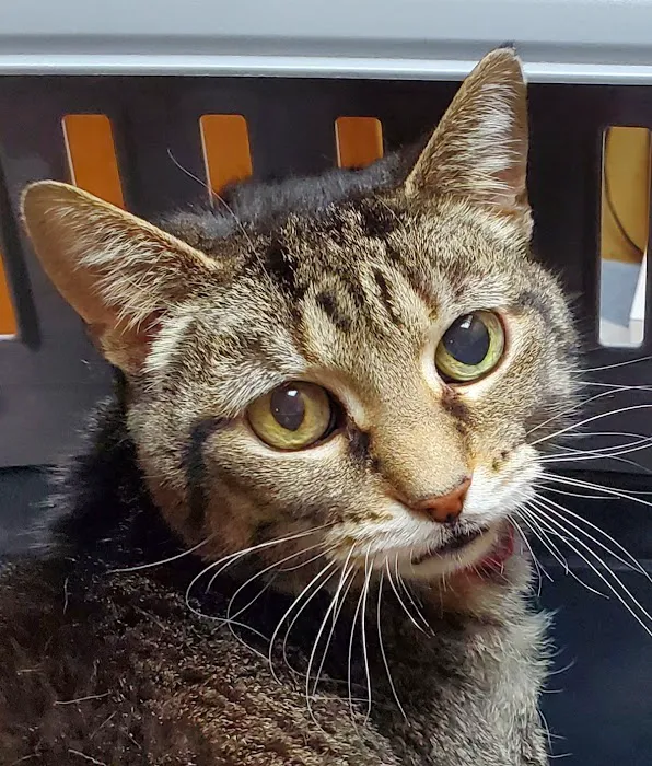 Owen County Animal Clinic Picture 2