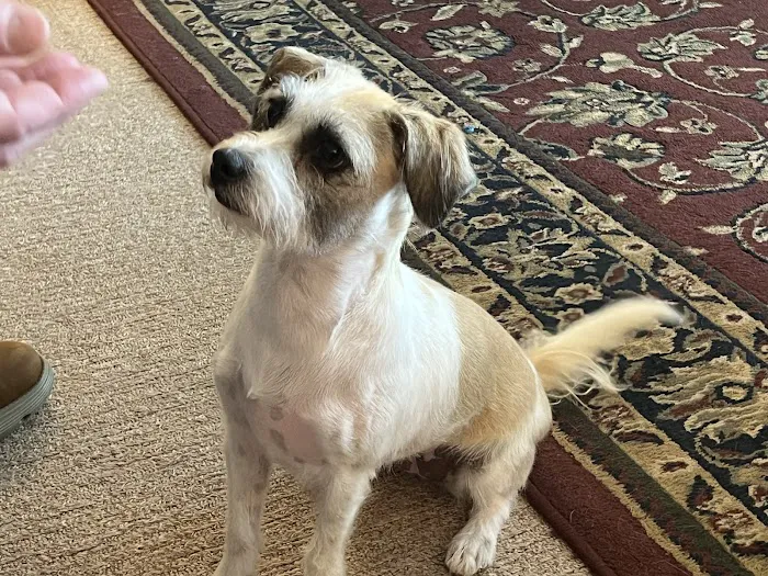 Clyde's Animal Clinic Picture 8