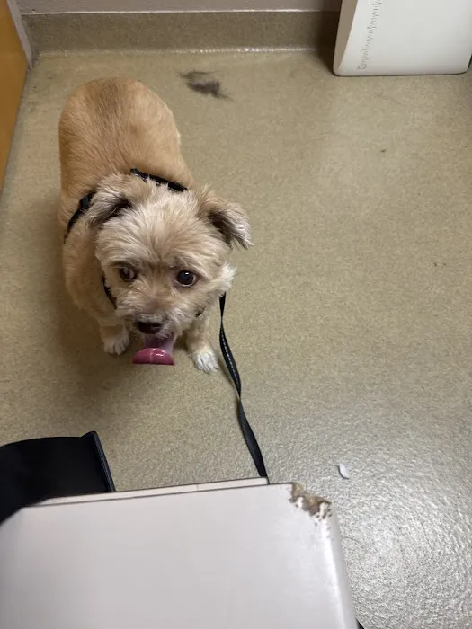 Clyde's Animal Clinic Picture 10