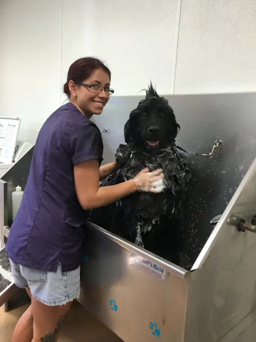 Albin Animal Hospital Mattoon Picture 7