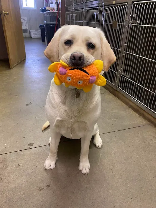Rensselaer Pet Care Picture 4