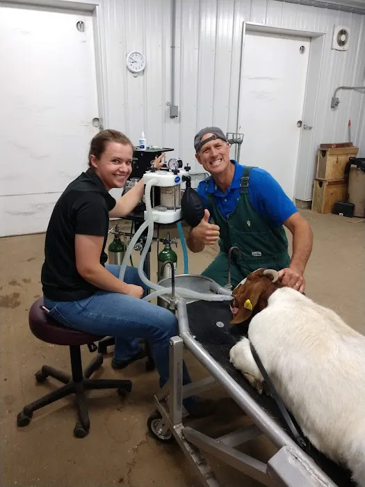 StockVets LLC Picture 1