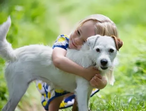 Davis Veterinary Service Picture 3