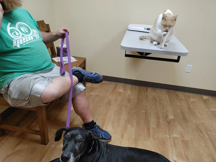 Davis Veterinary Service Picture 4
