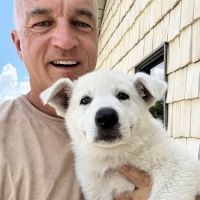 Davis Veterinary Service, PC ico