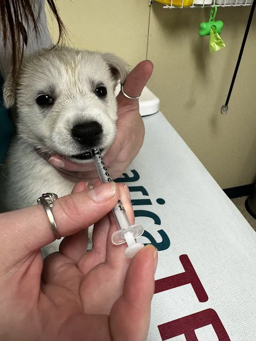 Davis Veterinary Service, PC Picture 3