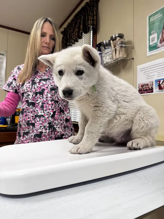 Davis Veterinary Service, PC Picture 6