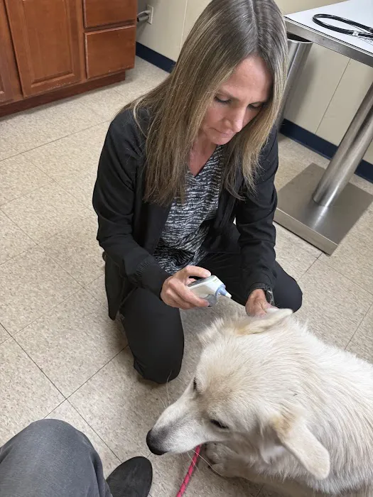Davis Veterinary Service, PC Picture 7