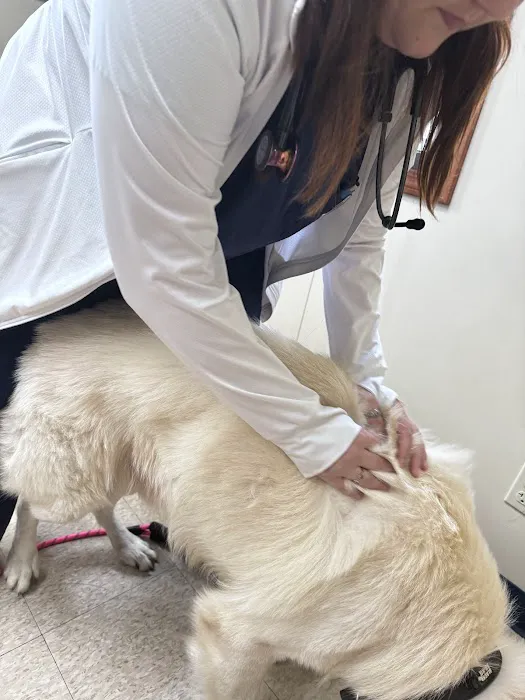 Davis Veterinary Service, PC Picture 8