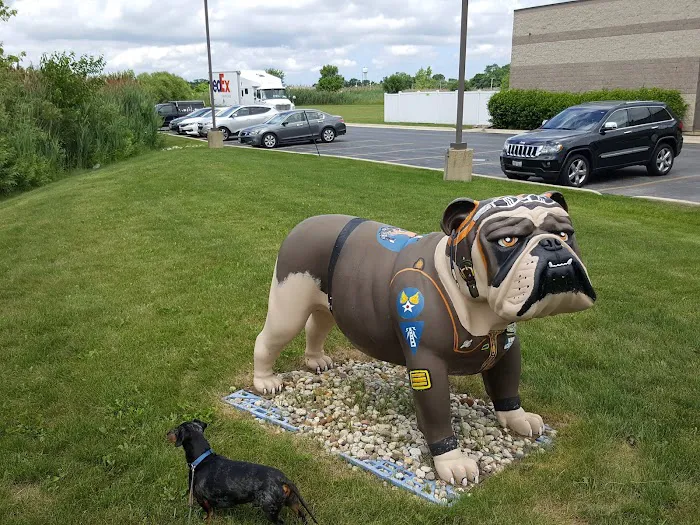 Animal Wellness Center Of Monee Picture 2