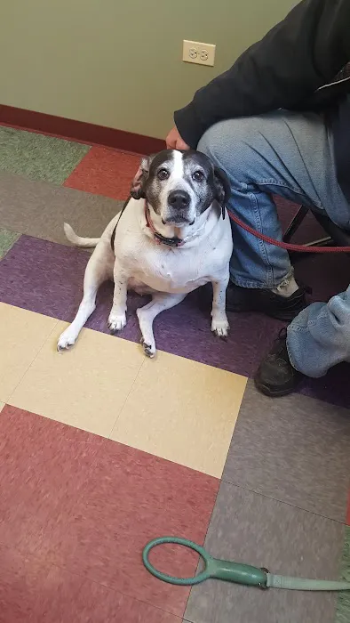 Animal Wellness Center Of Monee Picture 6