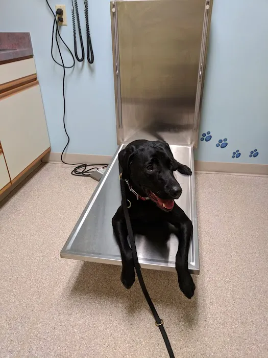 Hanover Veterinary Hospital Picture 2