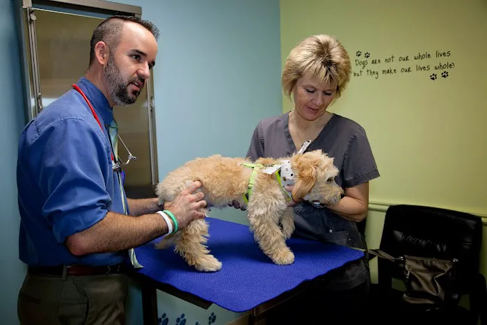 Hanover Veterinary Hospital Picture 4
