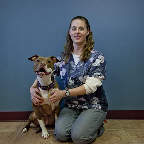 Hanover Veterinary Hospital Picture 6