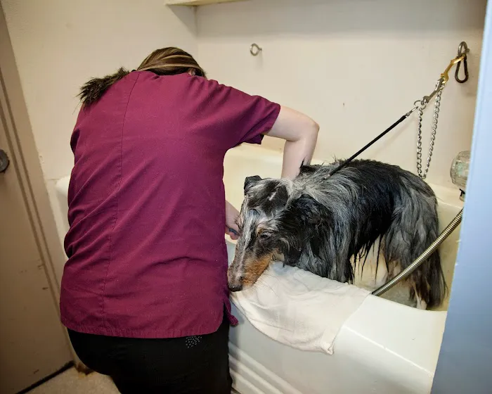 Hanover Veterinary Hospital Picture 7