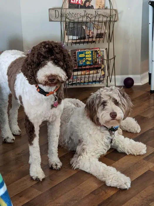 Hanover Veterinary Hospital Picture 8