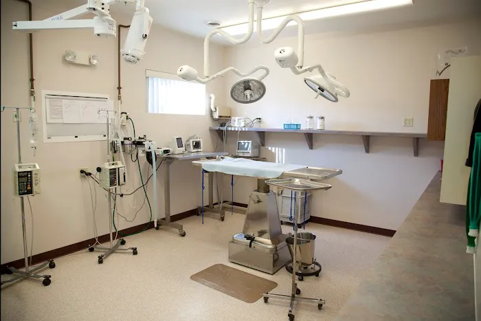 Hanover Veterinary Hospital Picture 9