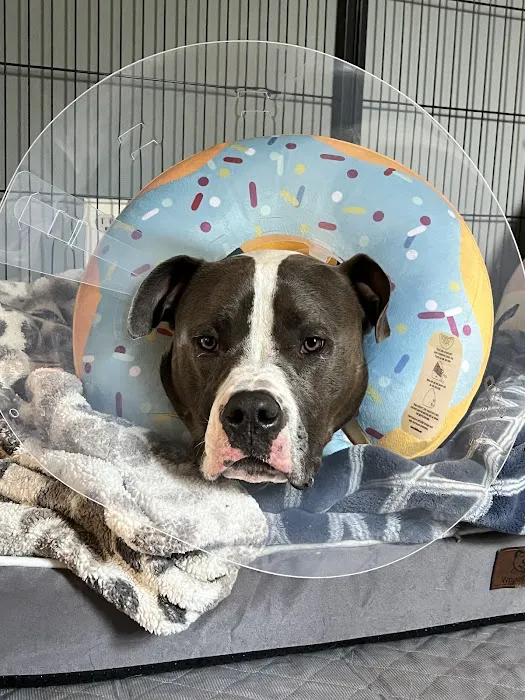 Hanover Veterinary Hospital Picture 10