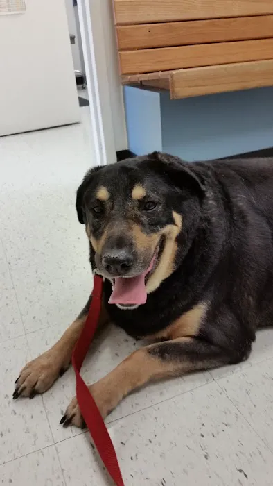 Banfield Pet Hospital Picture 8