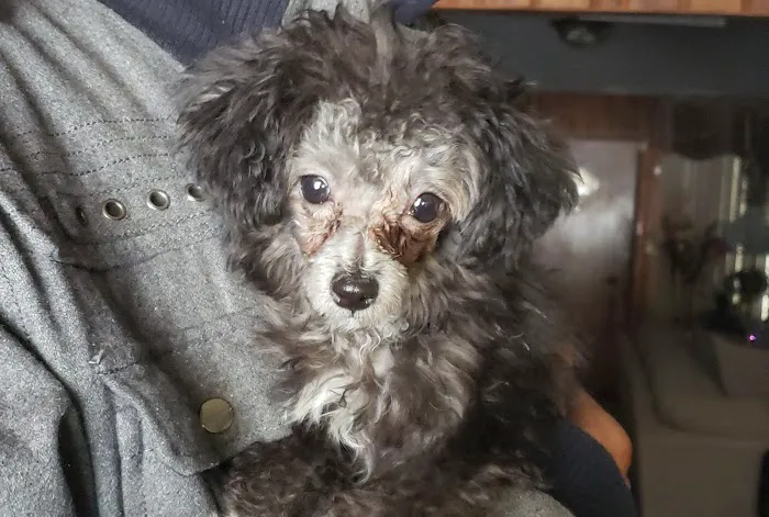 Banfield Pet Hospital Picture 7