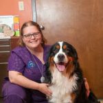 Southlake Animal Hospital PC