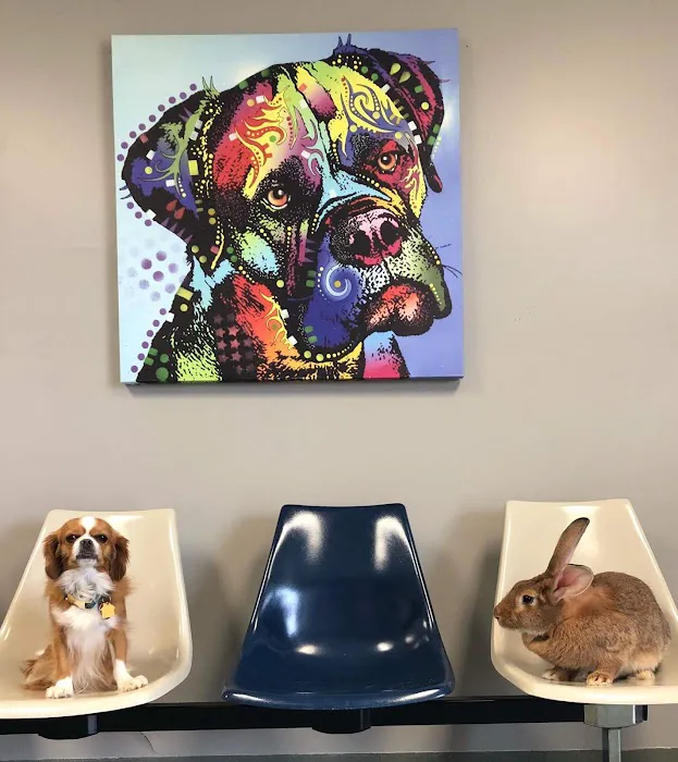 Southlake Animal Hospital PC Picture 6