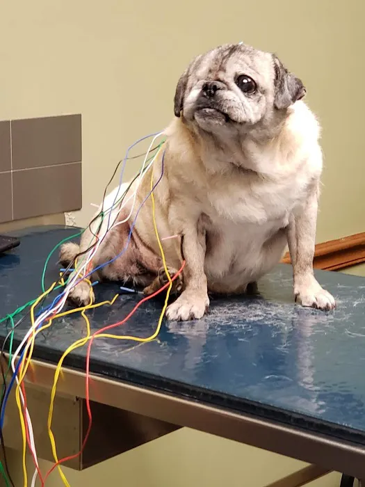 Southlake Animal Hospital PC Picture 9