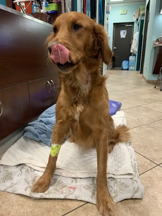 Animal Urgent Care Picture 1