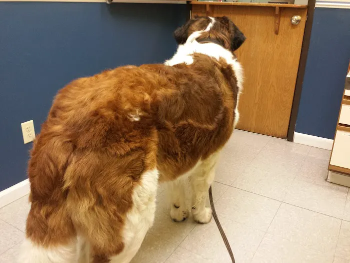 Crown Point Animal Hospital Picture 3