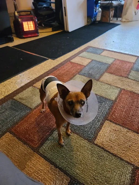 Crown Point Animal Hospital Picture 4