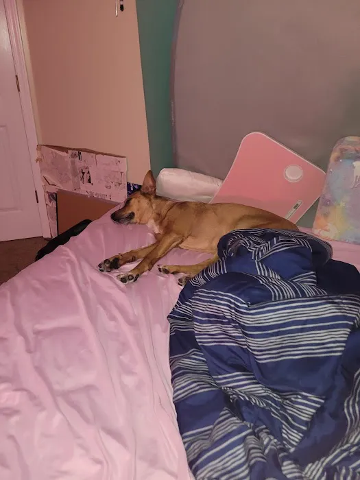 Crown Point Animal Hospital Picture 5