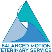 Balanced Motion Vet ico